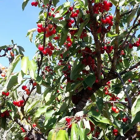 Appartamento L'eremo
