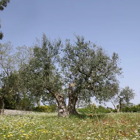Appartamento L'eremo